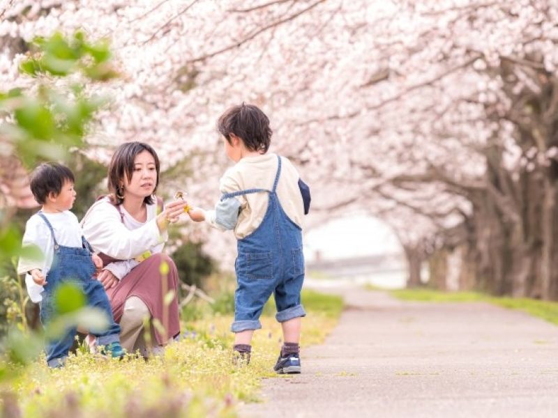 【イベント21】お花見・野点イベント用品のレンタルならイベント21神奈川支店へ！